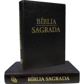 Bíblia Sagrada Católica NTLH Letra Grande Luxo