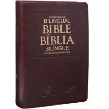Bíblia Bílingue NTLH - Capa Luxo Marrom Nobre